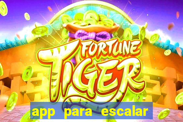 app para escalar time de futebol